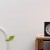 Idei mascare tevi pentru un decor armonios