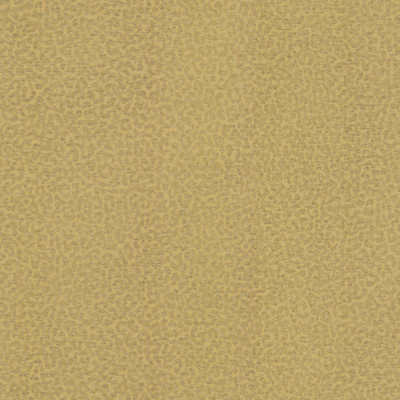 Tapet Roberto Cavalli 8 - 19017  Tapet Roberto Cavalli 8 - 19017