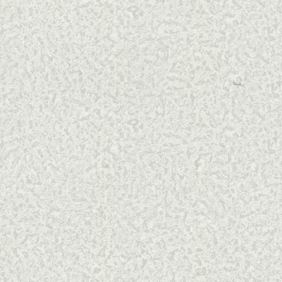 Tapet Roberto Cavalli 8 - 19024  Tapet Roberto Cavalli 8 - 19024