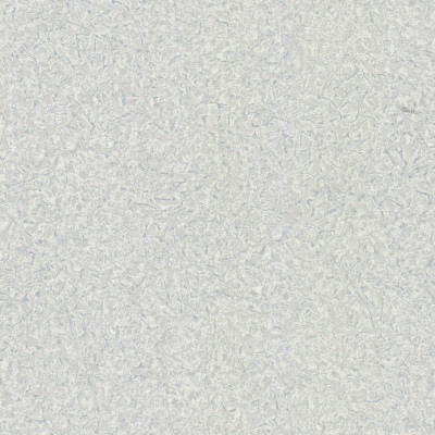 Tapet Roberto Cavalli 8 - 19026  Tapet Roberto Cavalli 8 - 19026