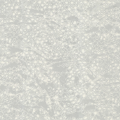 Tapet Roberto Cavalli 8 - 19034  Tapet Roberto Cavalli 8 - 19034