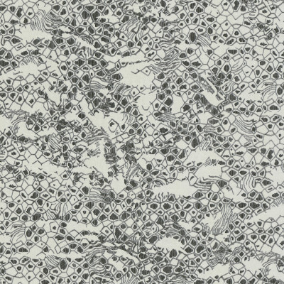 Tapet Roberto Cavalli 8 - 19035  Tapet Roberto Cavalli 8 - 19035