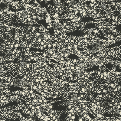 Tapet Roberto Cavalli 8 - 19036  Tapet Roberto Cavalli 8 - 19036