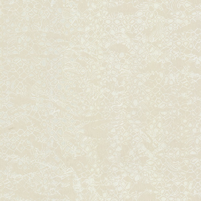 Tapet Roberto Cavalli 8 - 19037  Tapet Roberto Cavalli 8 - 19037