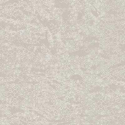 Tapet Roberto Cavalli 8 - 19038  Tapet Roberto Cavalli 8 - 19038