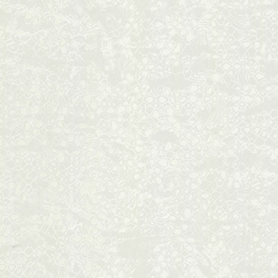 Tapet Roberto Cavalli 8 - 19039  Tapet Roberto Cavalli 8 - 19039