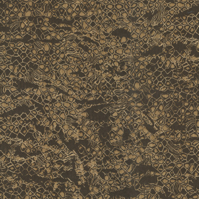 Tapet Roberto Cavalli 8 - 19040  Tapet Roberto Cavalli 8 - 19040