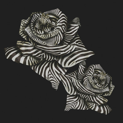 Tapet Tip Panel ROBERTO CAVALLI 8 - 19115 Tapet Tip Panel ROBERTO CAVALLI 8 - 19115