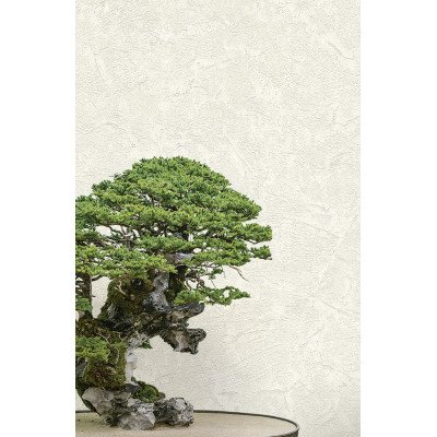 Tapet Zen - 72965    Tapet Zen - 72965