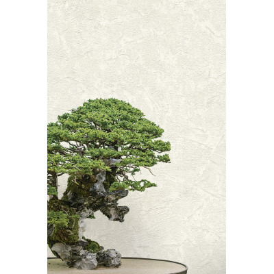 Tapet Zen - 72973    Tapet Zen - 72973