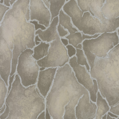 Tapet Valentin Yudashkin N.5 - 86020  Tapet Valentin Yudashkin N.5 - 86020