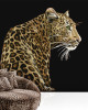  Tapet Dolce&Gabbana TCW001 TCAI5 UL005 
