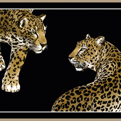 Tapet Dolce&Gabbana TCW001 TCAI5 UL007   Tapet Dolce&Gabbana TCW001 TCAI5 UL007