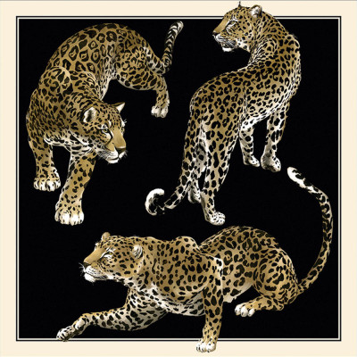 Tapet Dolce&Gabbana TCW001 TCAI5 UL015   Tapet Dolce&Gabbana TCW001 TCAI5 UL015