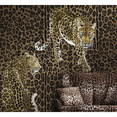 Tapet Dolce&Gabbana TCW001 TCAI5 UL033   Tapet Dolce&Gabbana TCW001 TCAI5 UL033