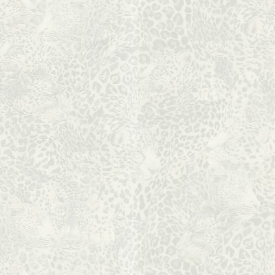  Tapet Dolce&Gabbana TCW007 TCAHO UL041 