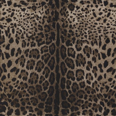  Tapet Dolce&Gabbana TCW007 TCAI9 UL003 