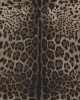  Tapet Dolce&Gabbana TCW007 TCAI9 UL003 