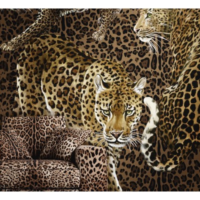  Tapet Dolce&Gabbana TCW009 TCAI5 UL040 
