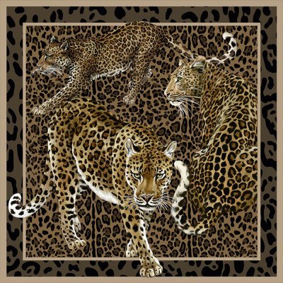  Tapet Dolce&Gabbana TCW009 TCAI5 UL040 